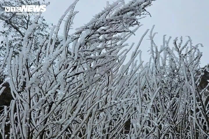 Cold wave continues to intensify, Northern Vietnam plunges into bitter cold